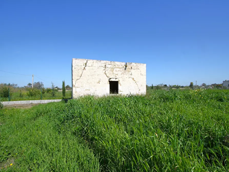 Immagine 17 di Terreno in vendita  in Strada Vicinale Tammali a Matino