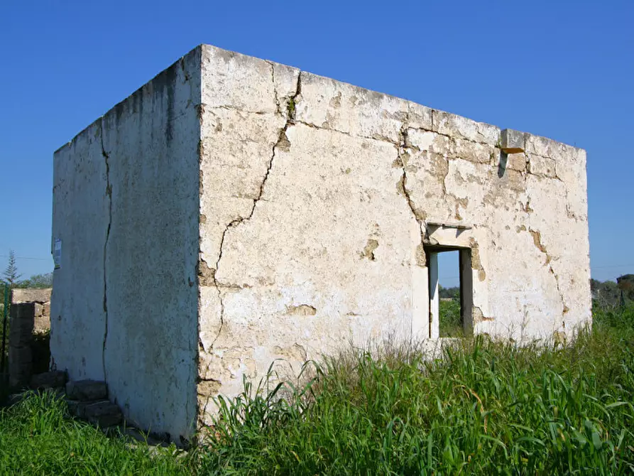 Immagine 18 di Terreno in vendita  in Strada Vicinale Tammali a Matino