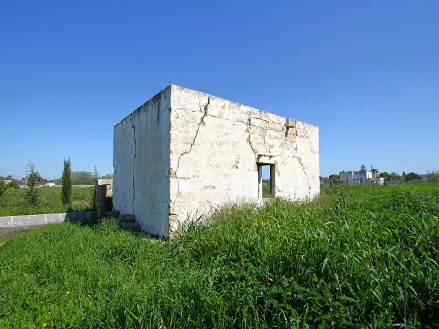 Immagine 19 di Terreno in vendita  in Strada Vicinale Tammali a Matino
