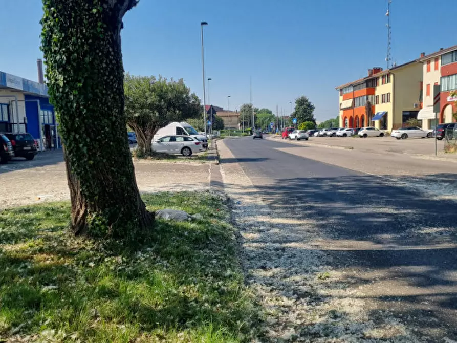 Immagine 3 di Negozio in vendita  in Via Zuccherificio a Este