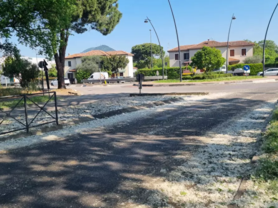 Immagine 4 di Negozio in vendita  in Via Zuccherificio a Este