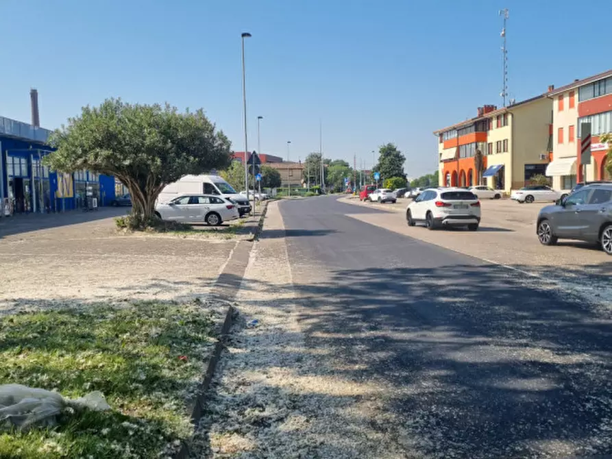 Immagine 5 di Negozio in vendita  in Via Zuccherificio a Este
