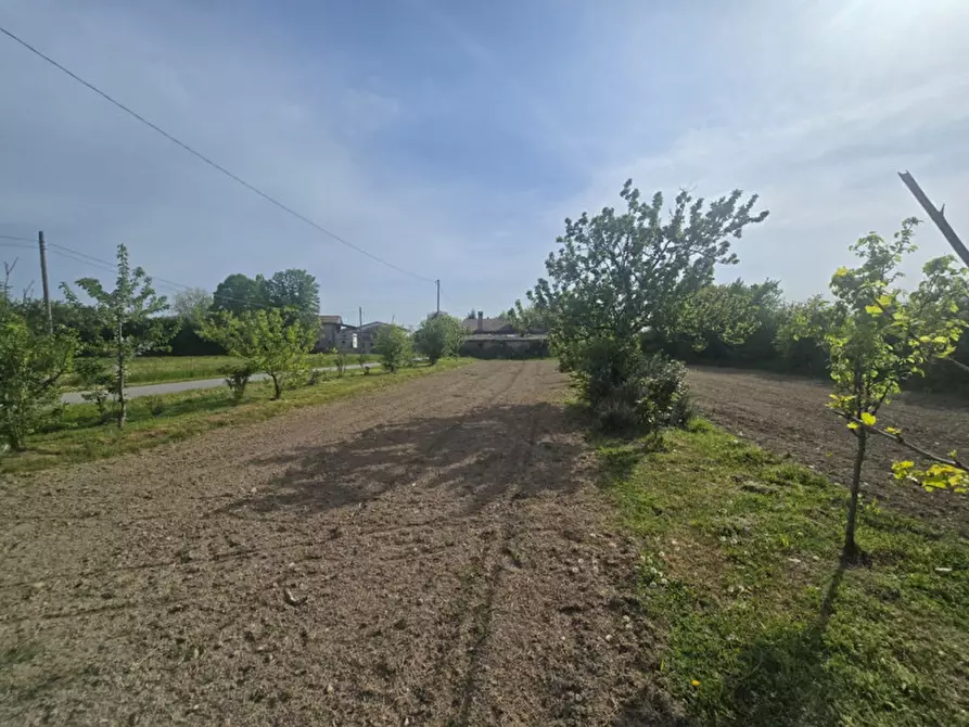 Immagine 13 di Casa indipendente in vendita  in Vigonovo a Vigonovo