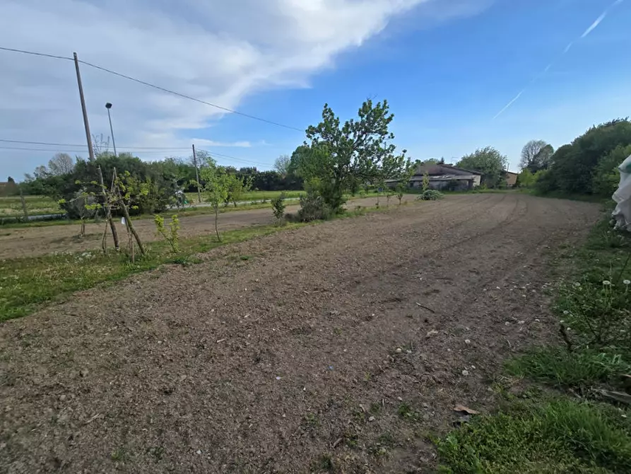 Immagine 14 di Casa indipendente in vendita  in Vigonovo a Vigonovo