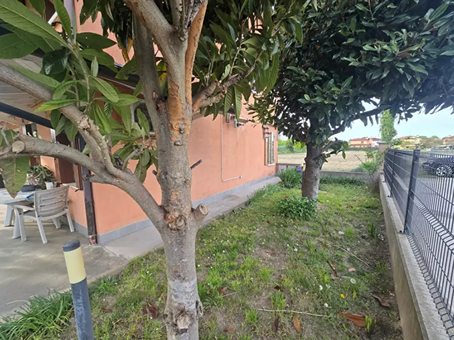 Immagine 15 di Casa indipendente in vendita  in Vigonovo a Vigonovo