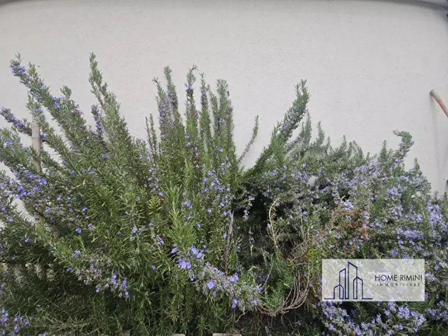 Immagine 58 di Appartamento in vendita  in Via Consolare Rimini-San Marino 164 a Rimini