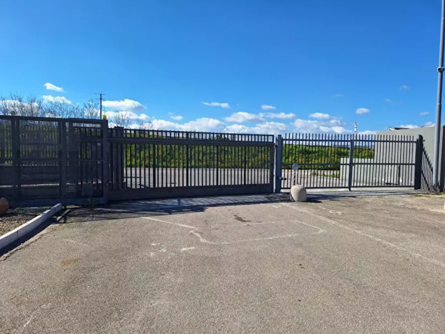 Immagine 2 di Capannone industriale in affitto  in SP2, 70038 Terlizzi BA, Italia a Terlizzi
