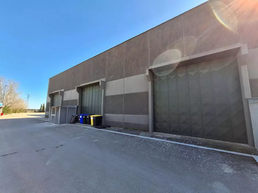 Immagine 4 di Capannone industriale in affitto  in SP2, 70038 Terlizzi BA, Italia a Terlizzi