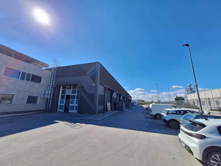 Immagine 5 di Capannone industriale in affitto  in SP2, 70038 Terlizzi BA, Italia a Terlizzi