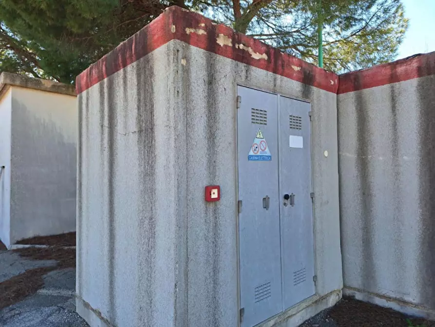 Immagine 6 di Capannone industriale in affitto  in SP2, 70038 Terlizzi BA, Italia a Terlizzi