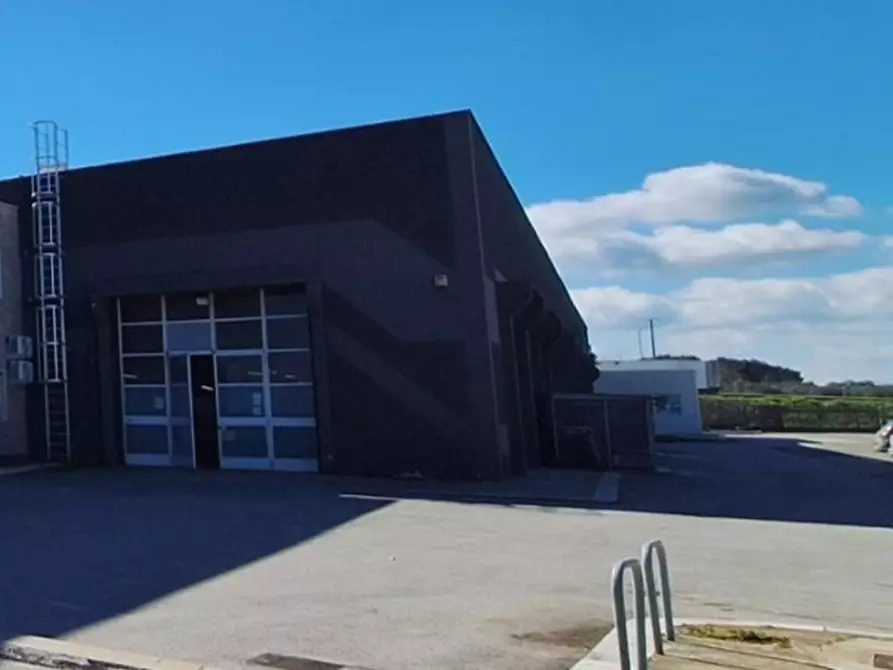 Immagine 8 di Capannone industriale in affitto  in SP2, 70038 Terlizzi BA, Italia a Terlizzi