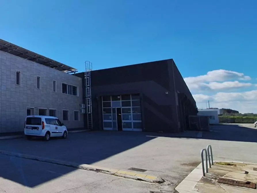 Immagine 14 di Capannone industriale in affitto  in SP2, 70038 Terlizzi BA, Italia a Terlizzi