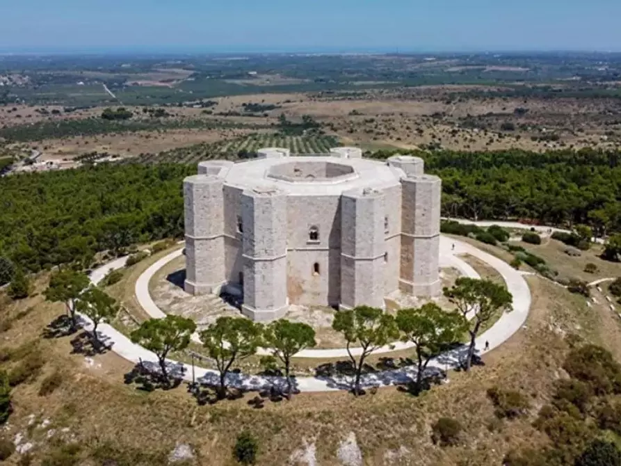 Immagine 2 di Attività commerciale in vendita  in Andria BT, Italia a Andria
