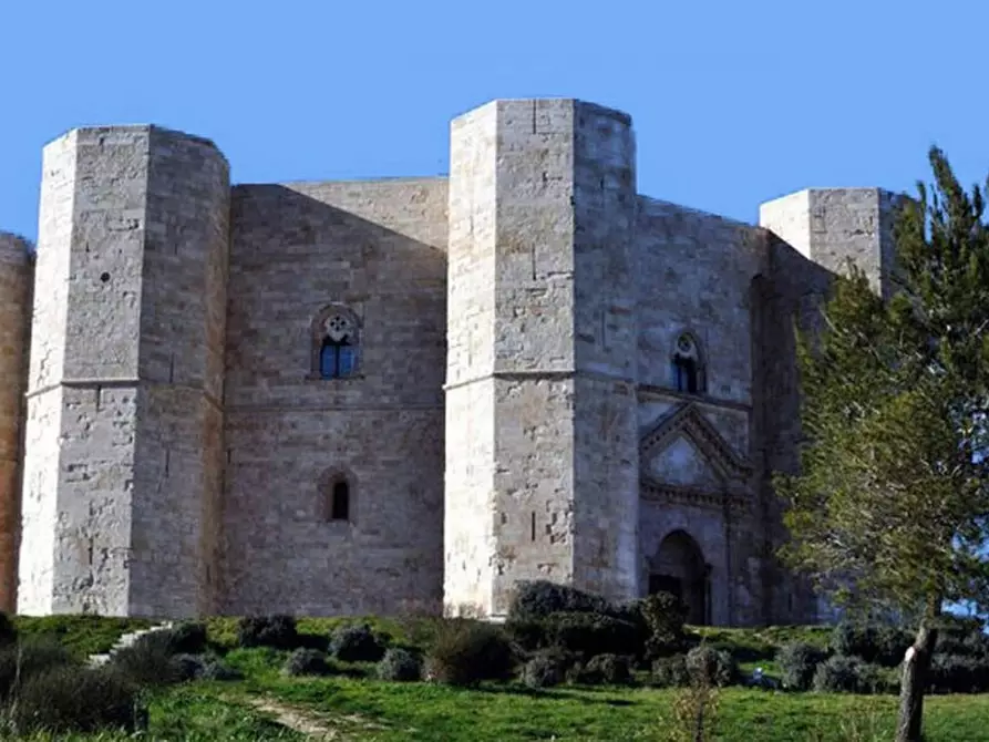 Immagine 12 di Attività commerciale in vendita  in Andria BT, Italia a Andria