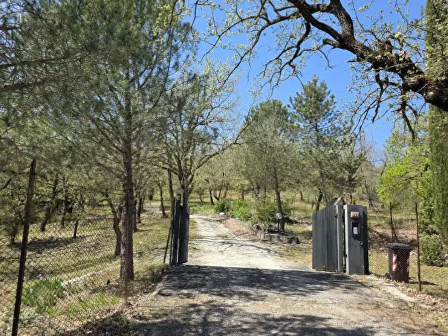 Immagine 33 di Villa in vendita  a Piegaro