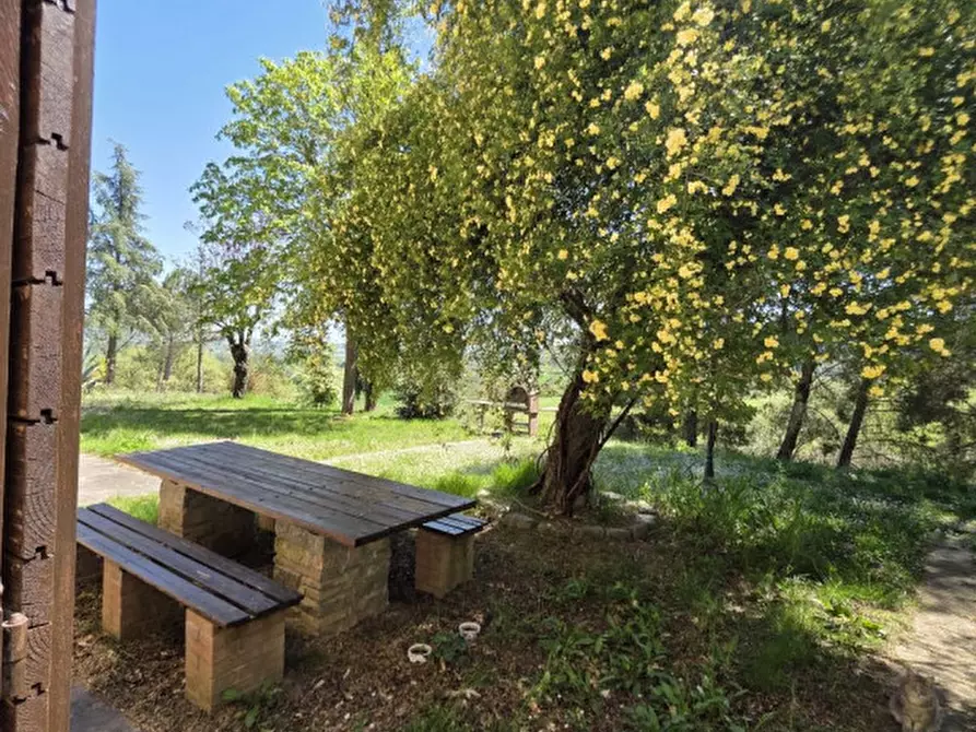Immagine 34 di Villa in vendita  a Piegaro
