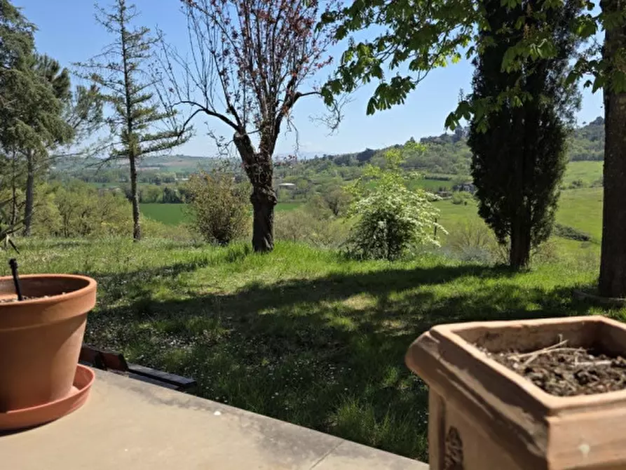Immagine 38 di Villa in vendita  a Piegaro