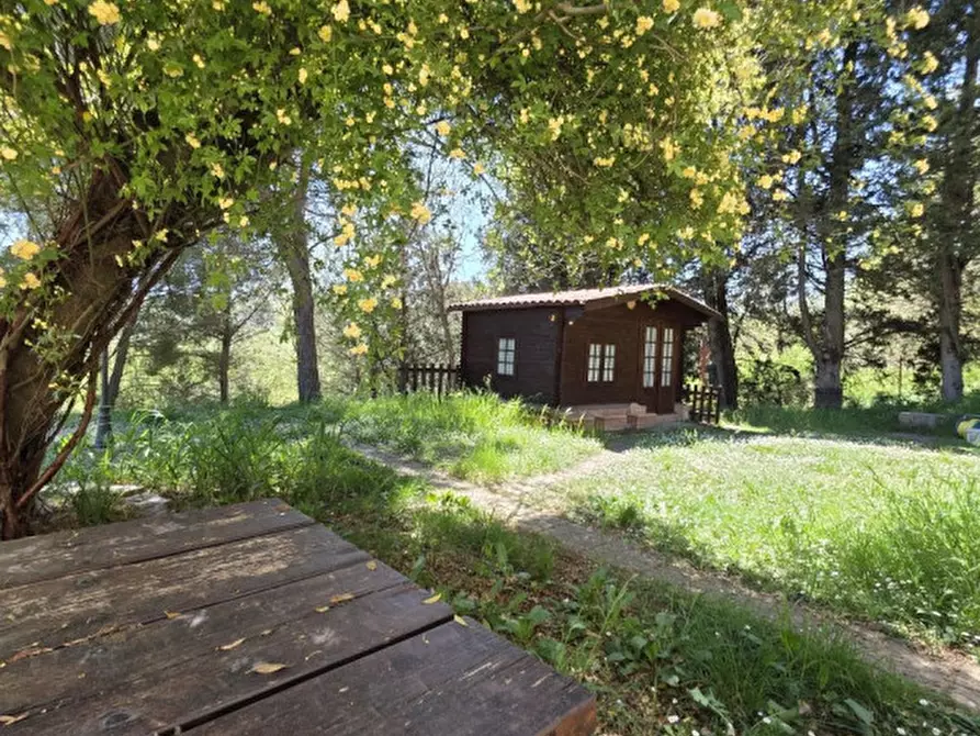 Immagine 40 di Villa in vendita  a Piegaro