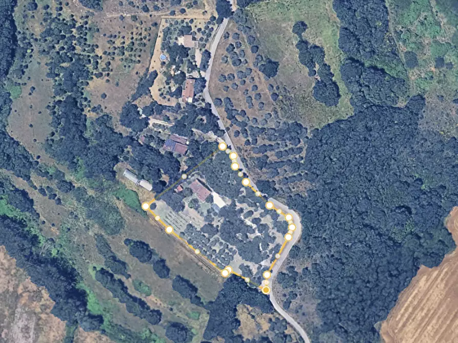 Immagine 41 di Villa in vendita  a Piegaro