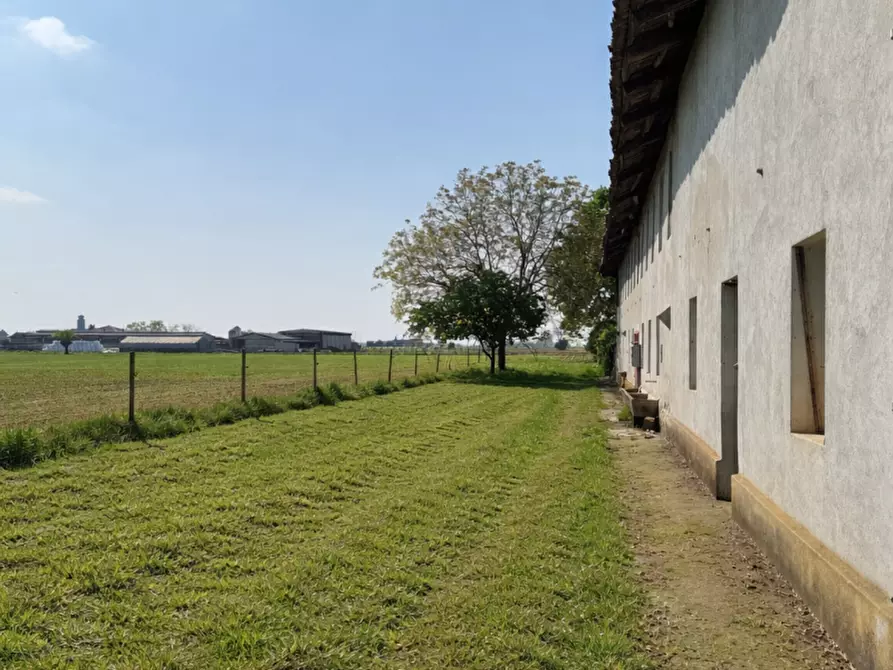 Immagine 2 di Rustico / casale in vendita  in scalenghe regione colletrale 36 a Scalenghe