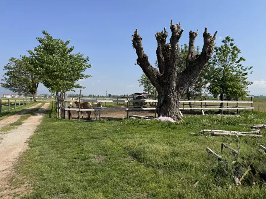 Immagine 4 di Rustico / casale in vendita  in scalenghe regione colletrale 36 a Scalenghe
