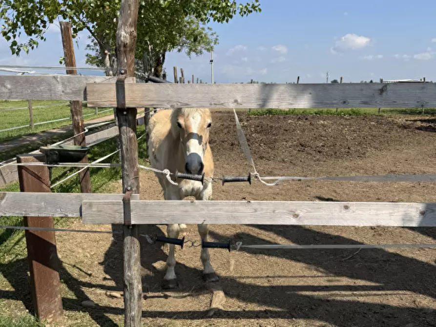 Immagine 23 di Rustico / casale in vendita  in scalenghe regione colletrale 36 a Scalenghe