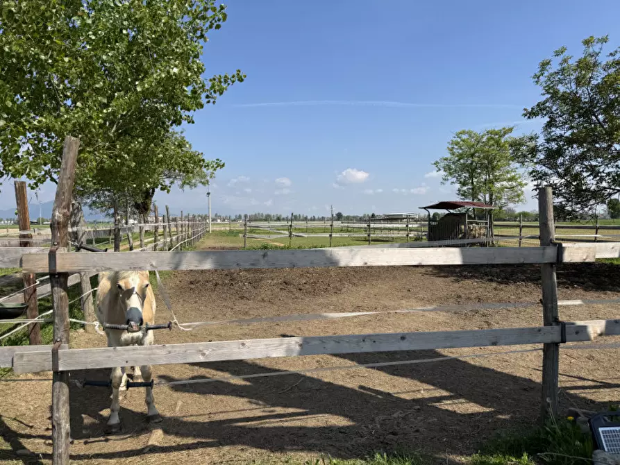 Immagine 24 di Rustico / casale in vendita  in scalenghe regione colletrale 36 a Scalenghe