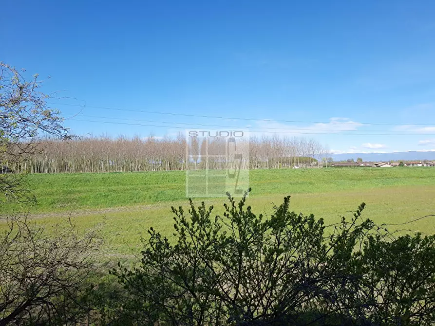 Immagine 5 di Terreno in vendita  in via caduti di nassiriya a Loreggia