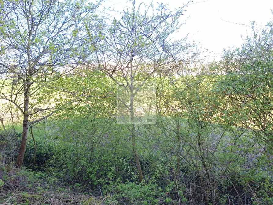 Immagine 11 di Terreno in vendita  in via caduti di nassiriya a Loreggia