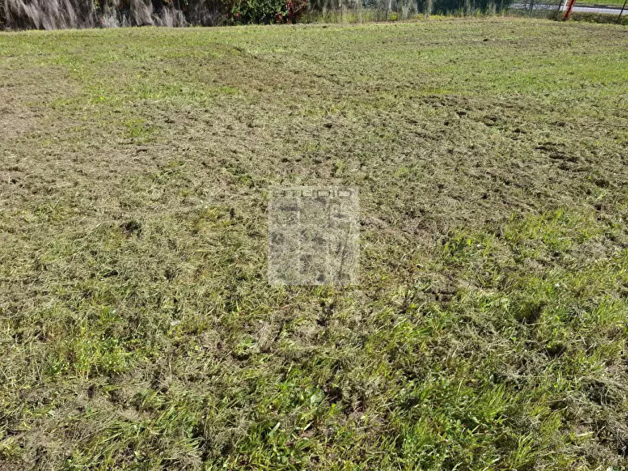 Immagine 15 di Terreno in vendita  in via caduti di nassiriya a Loreggia