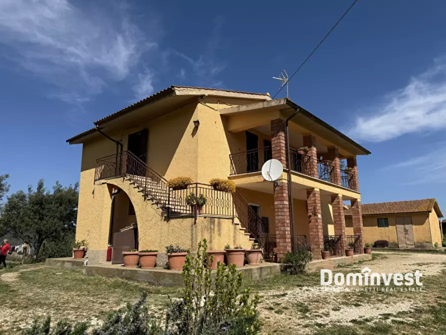 Immagine 2 di Rustico / casale in vendita  in strada vallerana alta a Capalbio