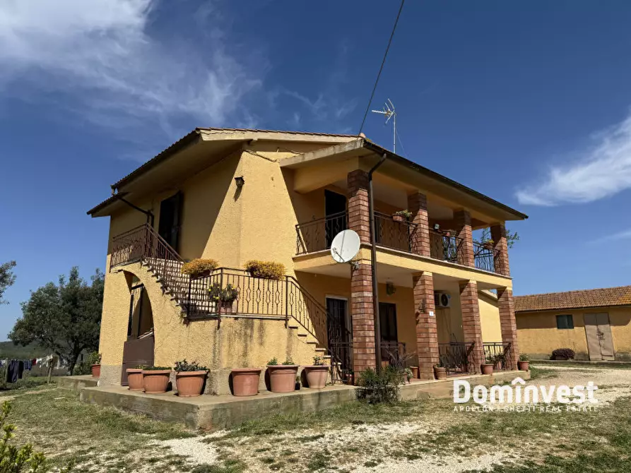 Immagine 3 di Rustico / casale in vendita  in strada vallerana alta a Capalbio