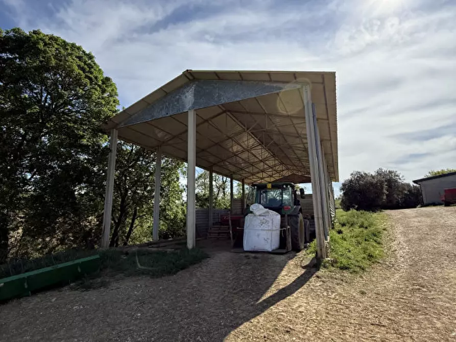 Immagine 6 di Rustico / casale in vendita  in strada vallerana alta a Capalbio
