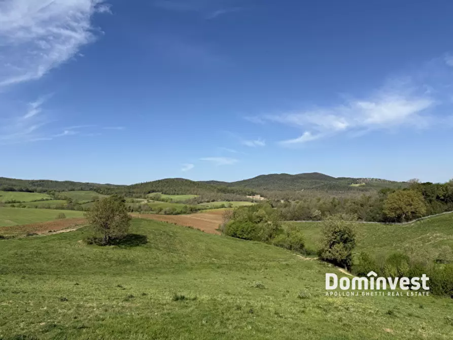 Immagine 8 di Rustico / casale in vendita  in strada vallerana alta a Capalbio