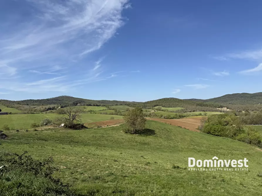 Immagine 9 di Rustico / casale in vendita  in strada vallerana alta a Capalbio