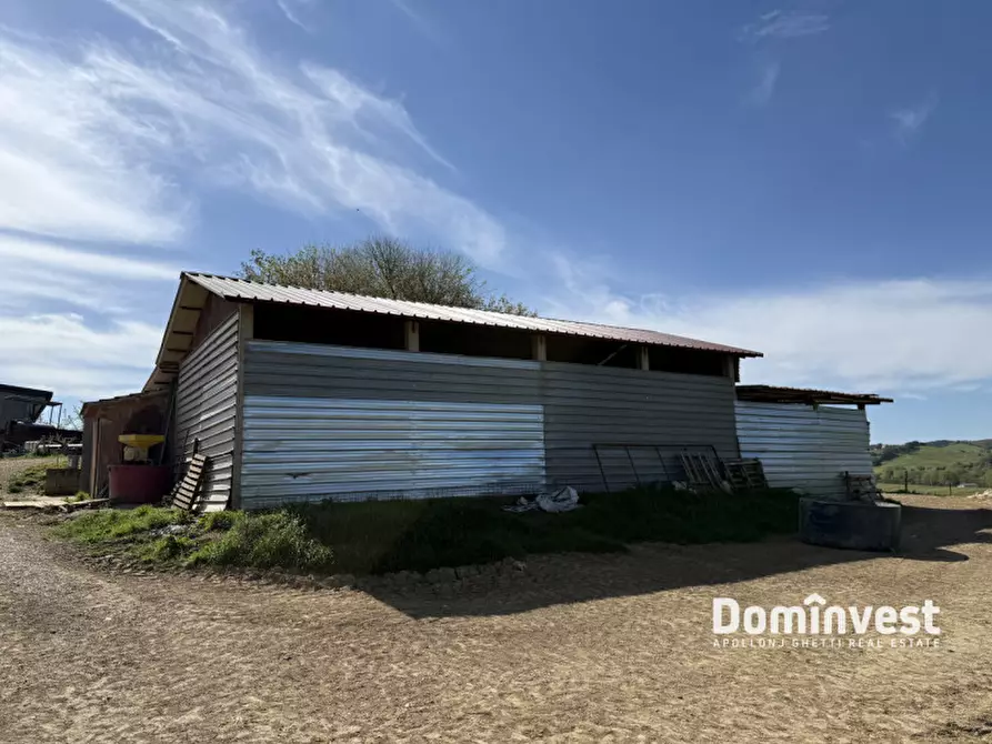 Immagine 10 di Rustico / casale in vendita  in strada vallerana alta a Capalbio