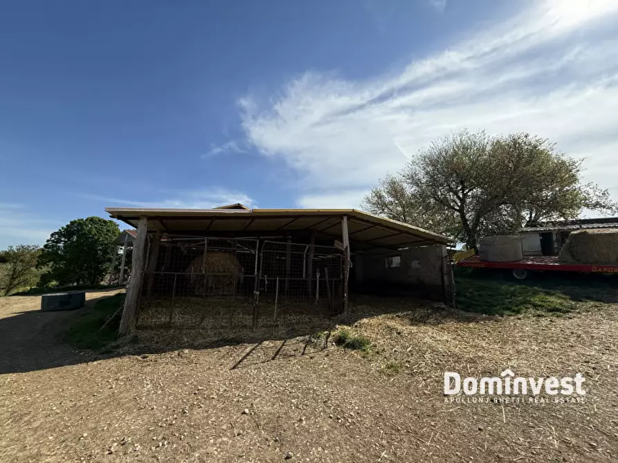 Immagine 11 di Rustico / casale in vendita  in strada vallerana alta a Capalbio