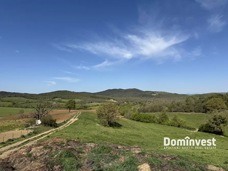 Immagine 12 di Rustico / casale in vendita  in strada vallerana alta a Capalbio