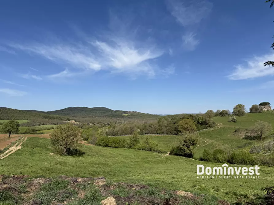 Immagine 13 di Rustico / casale in vendita  in strada vallerana alta a Capalbio