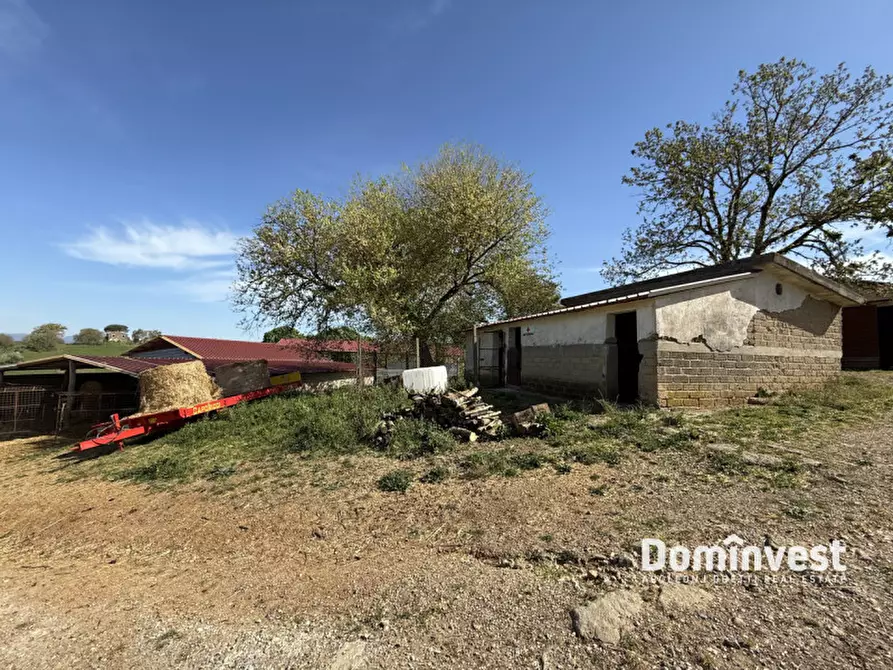 Immagine 14 di Rustico / casale in vendita  in strada vallerana alta a Capalbio