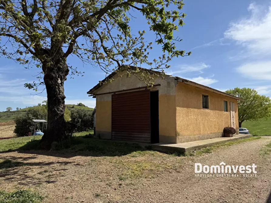 Immagine 15 di Rustico / casale in vendita  in strada vallerana alta a Capalbio