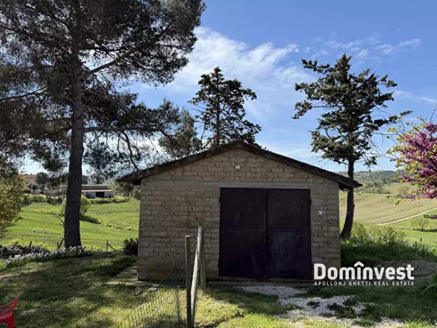 Immagine 16 di Rustico / casale in vendita  in strada vallerana alta a Capalbio