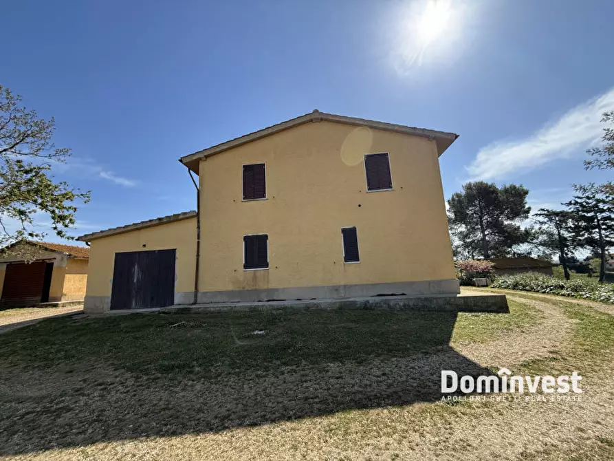 Immagine 17 di Rustico / casale in vendita  in strada vallerana alta a Capalbio