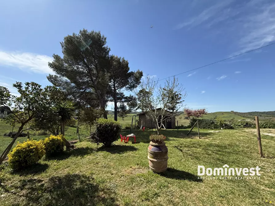 Immagine 18 di Rustico / casale in vendita  in strada vallerana alta a Capalbio