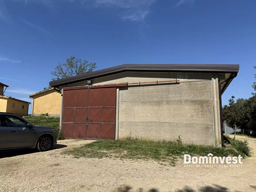 Immagine 20 di Rustico / casale in vendita  in strada vallerana alta a Capalbio