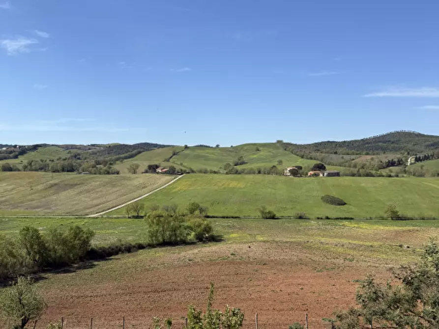 Immagine 21 di Rustico / casale in vendita  in strada vallerana alta a Capalbio