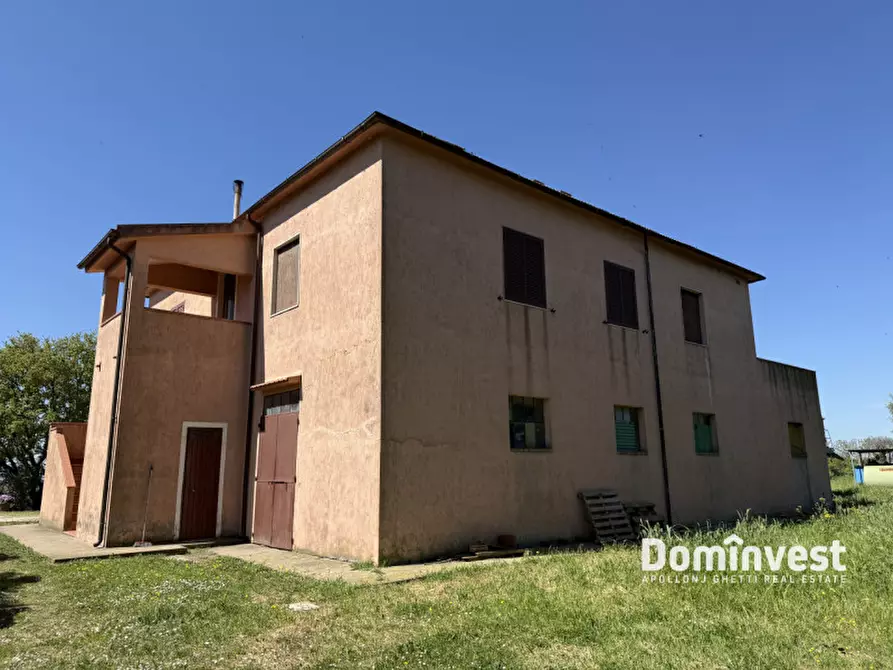 Immagine 3 di Rustico / casale in vendita  in la sgrilla a Manciano