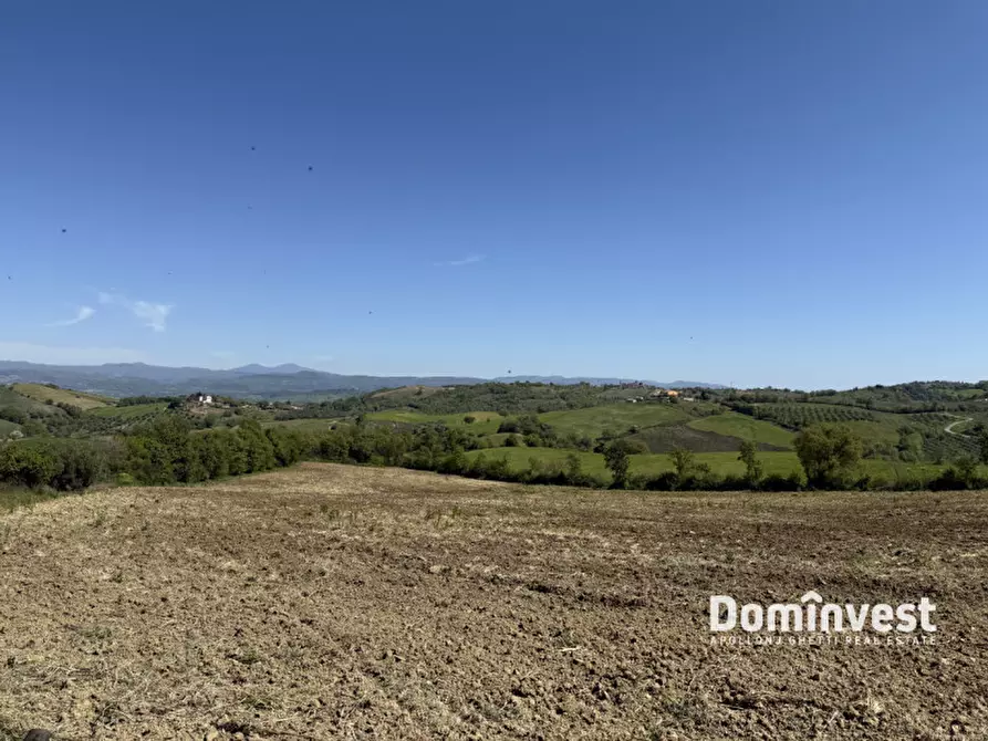 Immagine 4 di Rustico / casale in vendita  in la sgrilla a Manciano