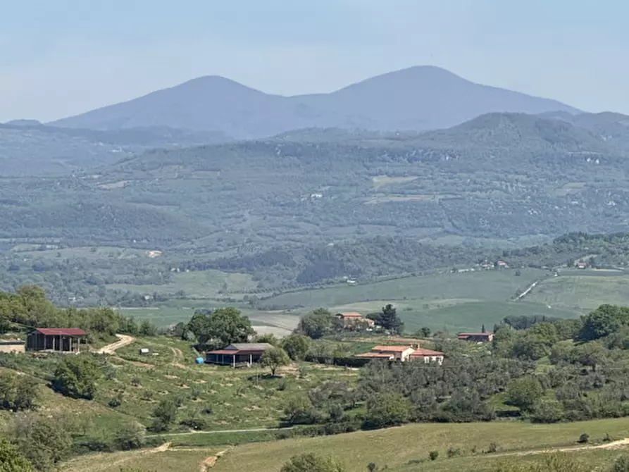 Immagine 8 di Rustico / casale in vendita  in la sgrilla a Manciano