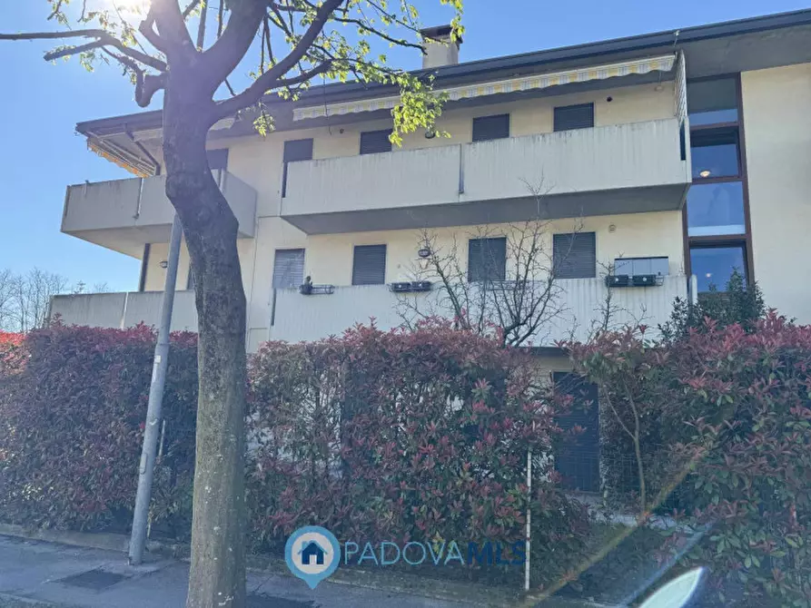 Immagine 25 di Appartamento in vendita  in Via Italo svevo 1 a Vigodarzere